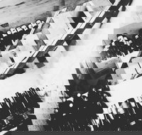 The Cordial Bar - Maitland Accommodation