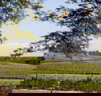 Wynwood Estate - Maitland Accommodation