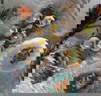 Peats Bite Restaurant - Maitland Accommodation