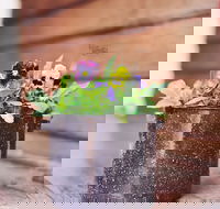 The York Mill - Maitland Accommodation