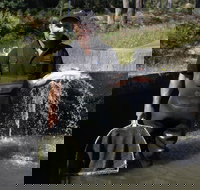 41 Degrees South Tasmania - Maitland Accommodation