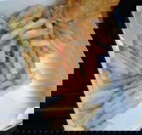 Daily Catch - Maitland Accommodation