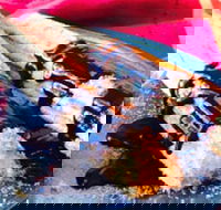 Pier Street Kitchen - Maitland Accommodation