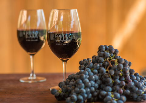 Politini Wines - Maitland Accommodation 0