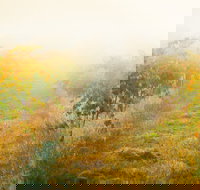 Poonawatta - Maitland Accommodation