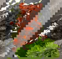 Royal India Restobar - Maitland Accommodation