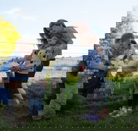 Sunhill Dairy Goats and Sunhill Skin Essentials