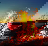 Black Dog Brewery - Maitland Accommodation