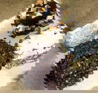 Frollicking Frog - Maitland Accommodation