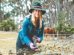 Mystery Bay Restaurants and Takeaway Maitland Accommodation Maitland Accommodation