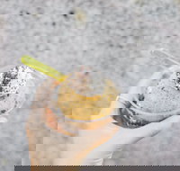 Mount Dandenong Hotel - Maitland Accommodation