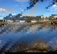 Puddleduck Vineyard - Maitland Accommodation