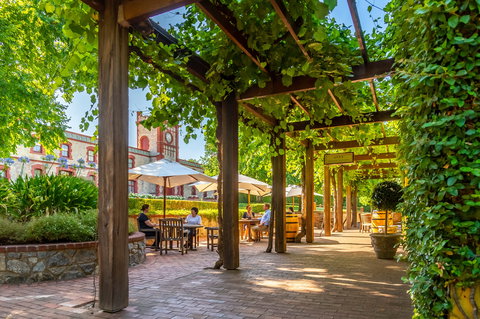 Yalumba - Maitland Accommodation 0