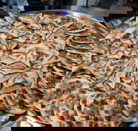 Yum Yum Lebanese Pizza  Cafe