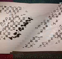 Bubba Pizza - Mount Barker