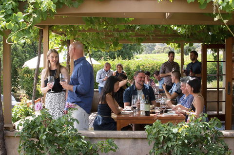 Murray Street Vineyards - Maitland Accommodation 1