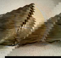 Tai Wong Barbecue - Maitland Accommodation