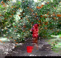 Fords Farm - Maitland Accommodation