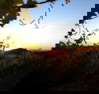 Glenbosch Wine Estate - Maitland Accommodation