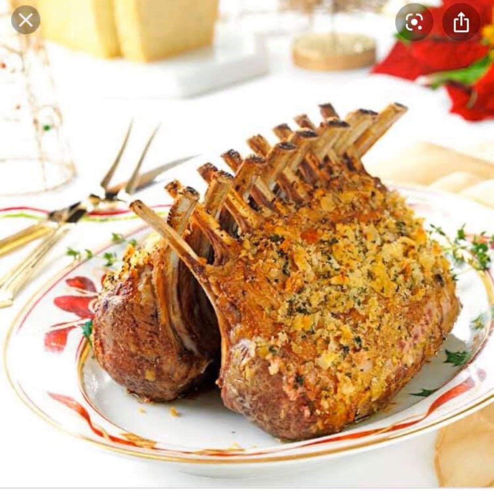 Bellbrae VIC Maitland Accommodation