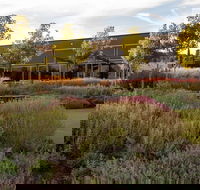 Barossa Valley Estate Cellar Door  Gardens - Maitland Accommodation
