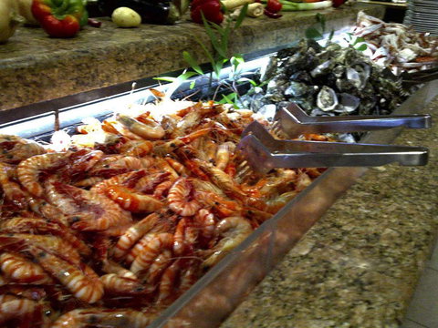 Bronze Orange - Maitland Accommodation 0