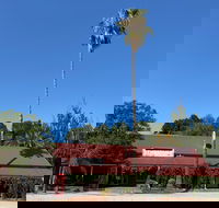 The Vine Hotel North Wangaratta - Maitland Accommodation