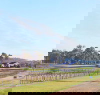 Blacklea Vineyard and Olive Grove - Maitland Accommodation