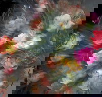 Dixon Wine Bar - Maitland Accommodation