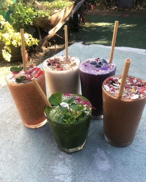 Garden Grub Cafe - Maitland Accommodation 0