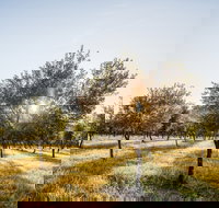 Guneemooroo Estate - Maitland Accommodation