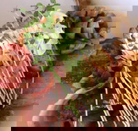 Maudy's Restaurant and Bar - Maitland Accommodation