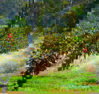 The Red Apron Gourmet Kitchen - Maitland Accommodation