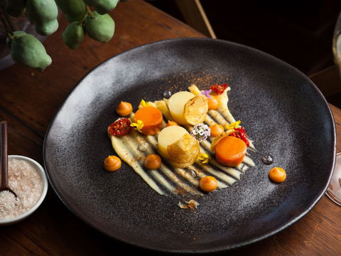 The Peak Restaurant At Spicers Peak Lodge - Maitland Accommodation 2