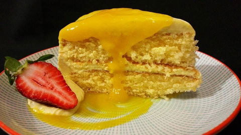 Volpino - Maitland Accommodation 0