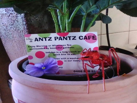 Antz Pantz Cafe - Maitland Accommodation 0