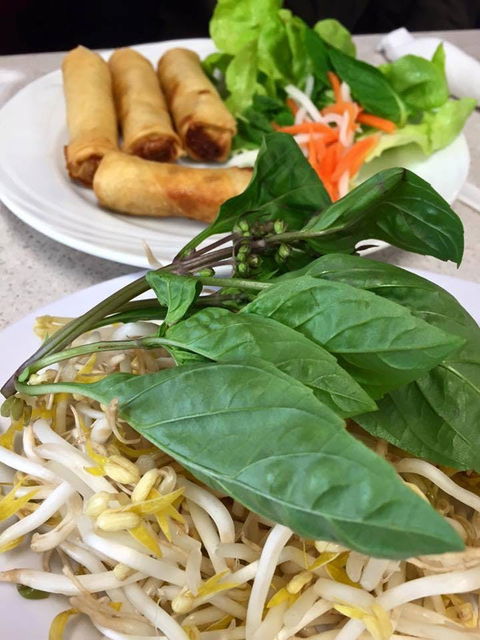 PHO 234 - Maitland Accommodation 0