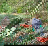 Sweet Water Farm - Maitland Accommodation