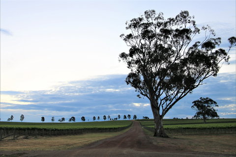 Two Rivers Wines - Maitland Accommodation 1