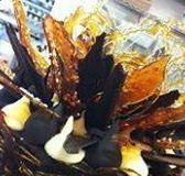 Daily Dose Cafe Wine Bar