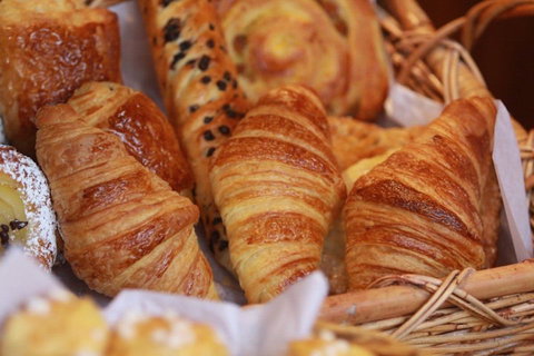 Choukette - Maitland Accommodation 0