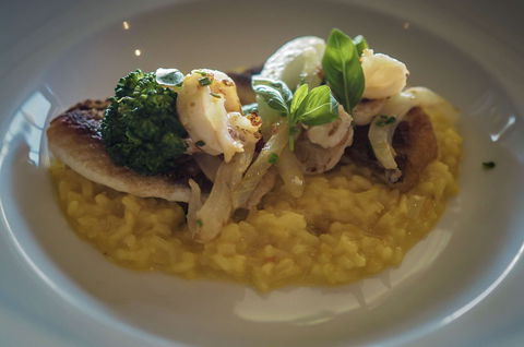 The Cowrie - Maitland Accommodation 0