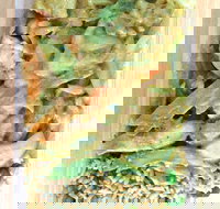 Eastern Palace - Maitland Accommodation