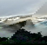 The Mushroom at Waratah - Maitland Accommodation