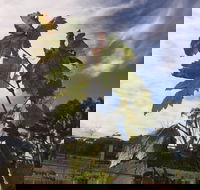 Banca Ridge Cellar Door and Vineyard - Maitland Accommodation