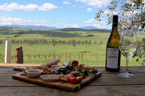 Delatite Winery - Maitland Accommodation 1