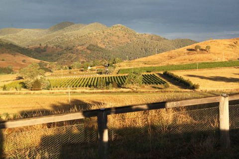 Optimiste Wines - Maitland Accommodation 0
