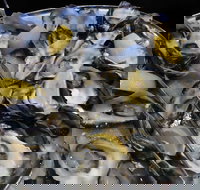 View 42o - Maitland Accommodation