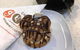 Michel's Patisserie - Gawler - thumb 0