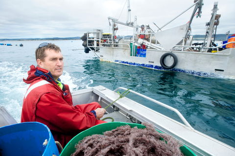 Peninsula Fresh Seafood - Maitland Accommodation 0